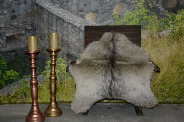 Edle Niederländische Landziege Hobby Beruf Deko (öko)